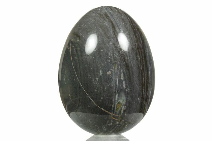 Polished Banded Shale Egg - New Mexico #356260
